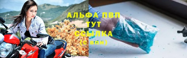 гидра Козловка