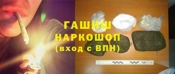 гидра Козловка
