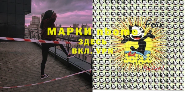 гидра Козловка