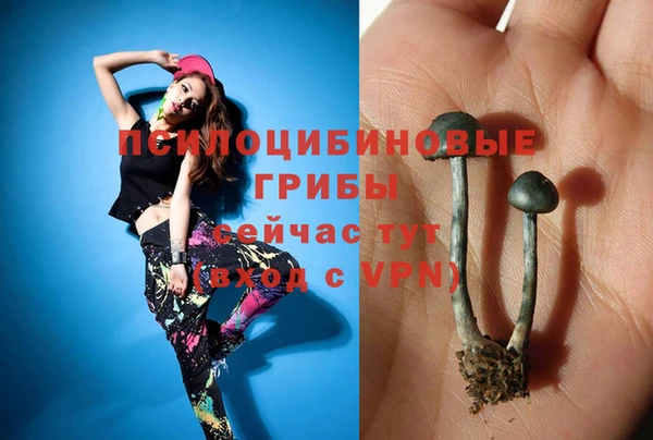 МДМА Козельск