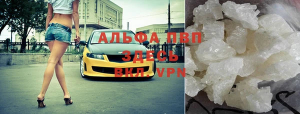 гидра Козловка