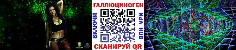 Купить  Грайворон  Псилоцибиновые грибы Psilocybe 