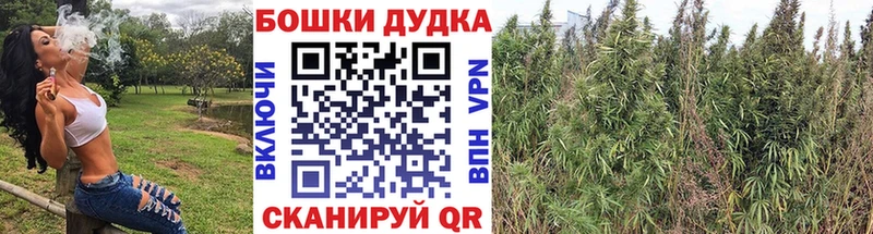 Бошки Шишки MAZAR Купить где Грайворон